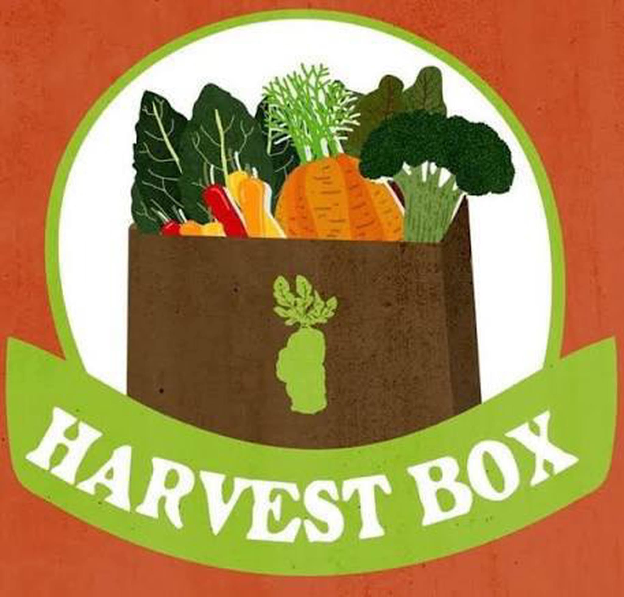Large Harvest Box