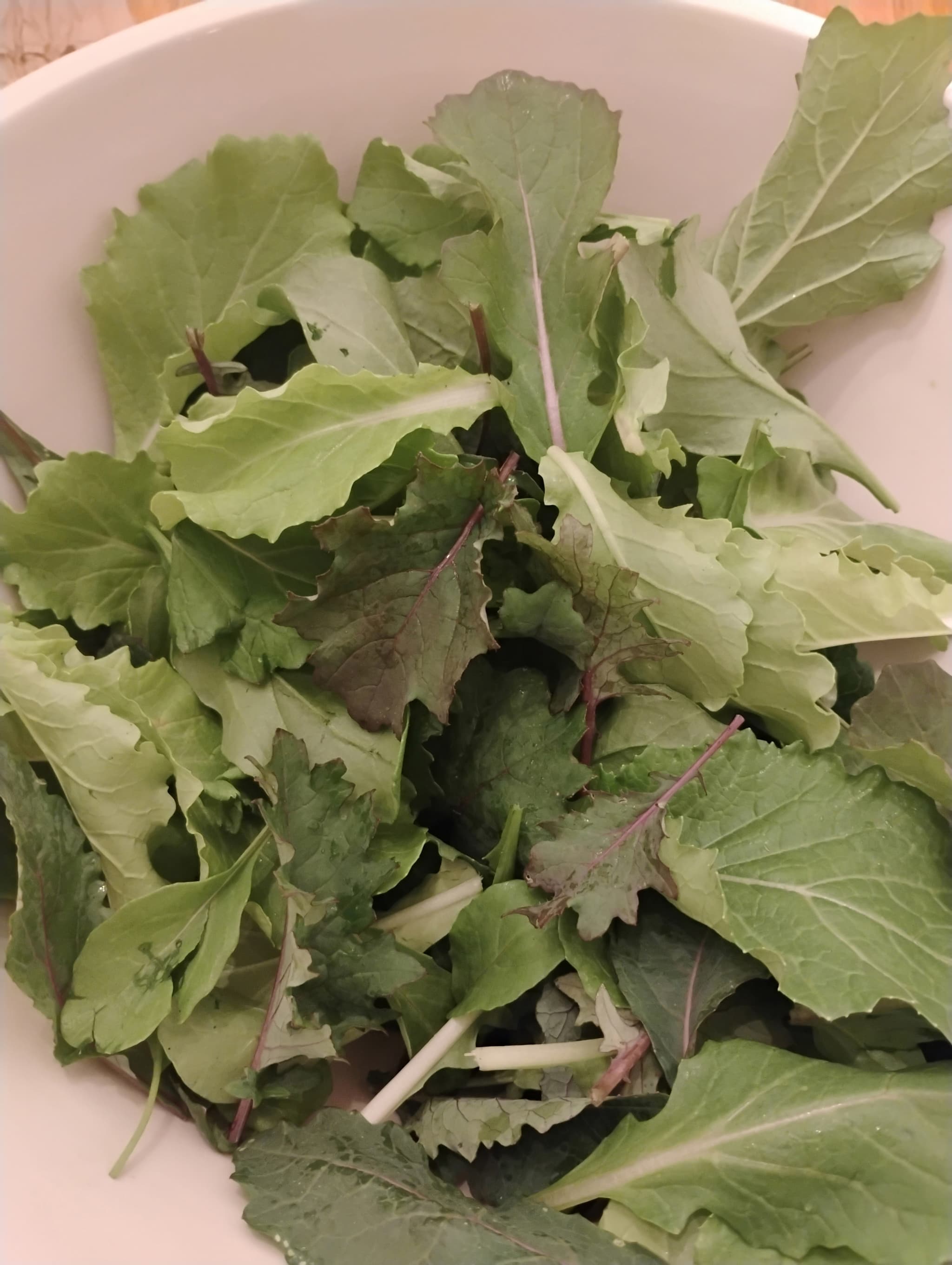 Mesclun Mix